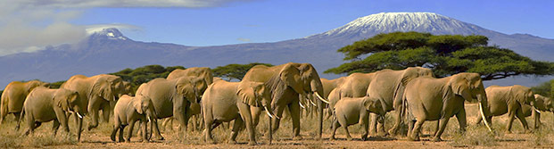 Parque Masai Mara, Quénia