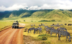 Ngorongoro Crater National Park, Tânzania