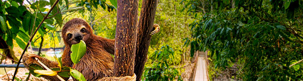 Natureza da Costa Rica