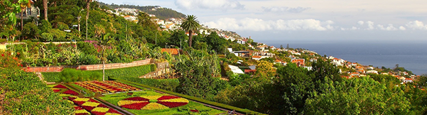 Madeira - Festa da Flor